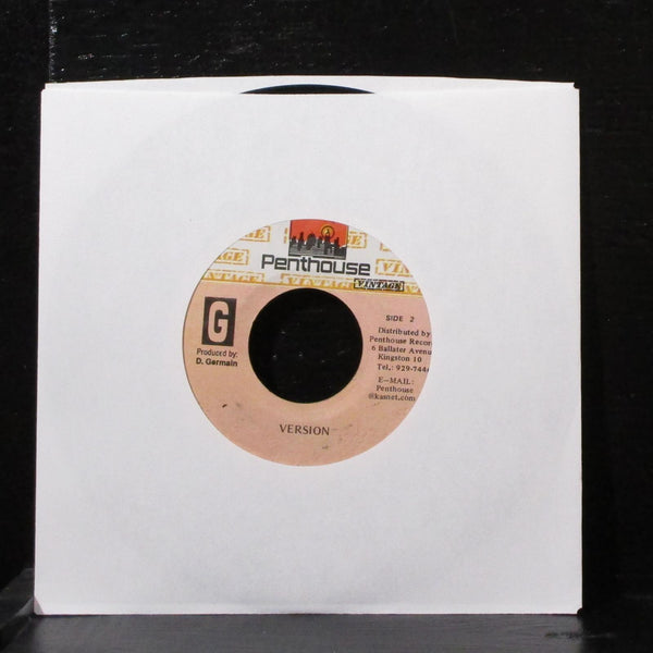 Richie Stephens - Never Too Much 7" VG+ Vinyl 45 Penthouse Jamaica 1991 - Shuga Records