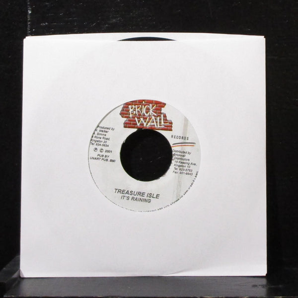 Louie Culture - Main Focus 7" VG+ Vinyl 45 Brickwall Jamaica 2001 - Shuga Records