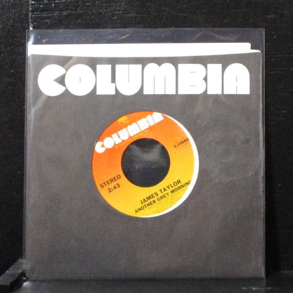 James Taylor - Honey Don't Leave L.A. 7" Mint- Vinyl 45 3-10689 USA 1977 - Shuga Records