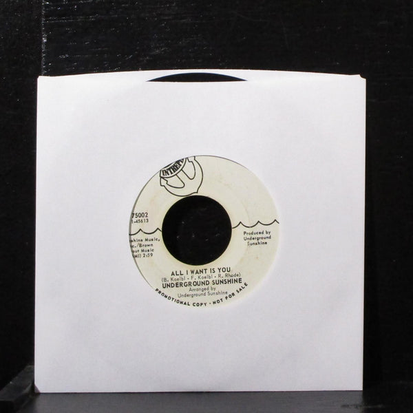 Underground Sunshine - Birthday / All I Want Is You 7" VG Promo Vinyl 45 75002 - Shuga Records