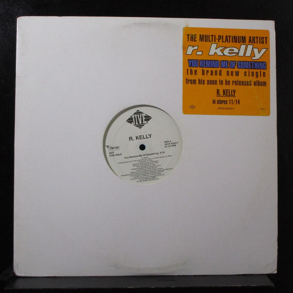 R. Kelly - You Remind Me Of Something 12" Mint- JDCD-42343-1 Promo Vinyl Record - Shuga Records