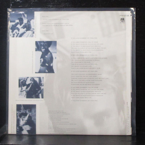 Sting - If You Love Somebody Set Them Free 7" Mint- Vinyl 45 AM-2738 USA 1985 - Shuga Records