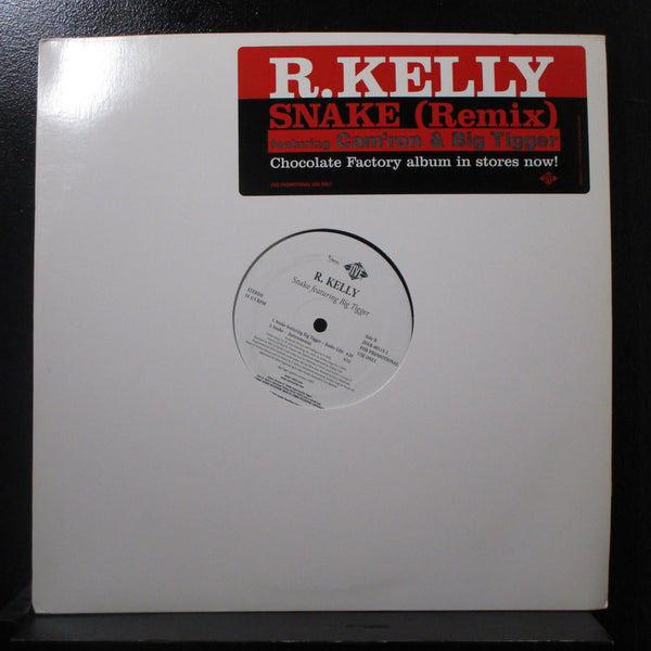 R. Kelly - Snake (Remix) 12" Mint- JDAB-40115-1 White Promo 2003 Vinyl Record - Shuga Records