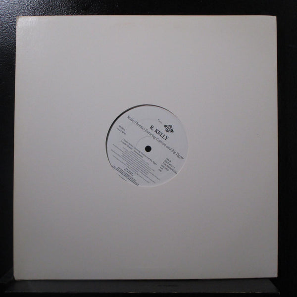 R. Kelly - Snake (Remix) 12" Mint- JDAB-40115-1 White Promo 2003 Vinyl Record - Shuga Records