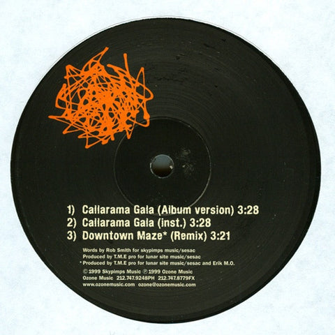 Sonic Sum ‎– Callarama Gala / Flatlands - VG 12" Single 2000 USA - Downtempo