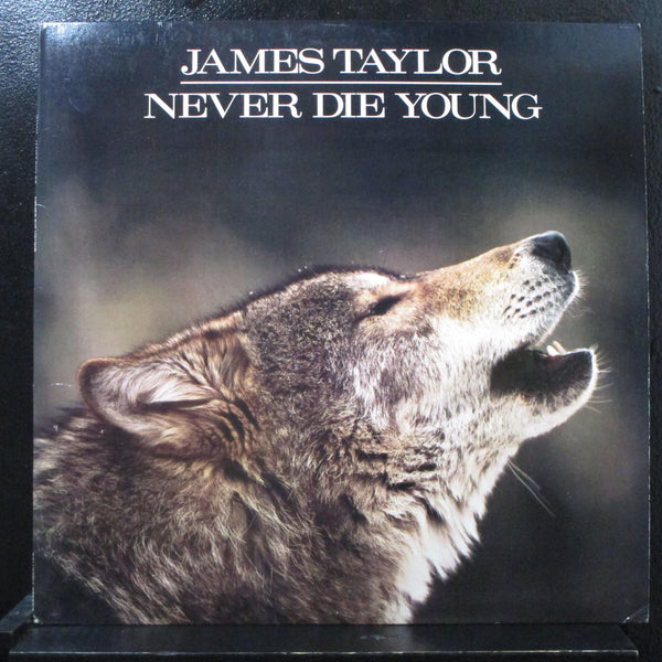 James Taylor - Never Die Young LP Mint- LP Record 1988 Columbia USA Vinyl - Soft Rock / Pop Rock / Folk Rock - Shuga Records