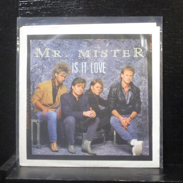 Mr. Mister - Is It Love 7" VG+ PB49861 Germany 1986 RCA Vinyl 45 - Shuga Records