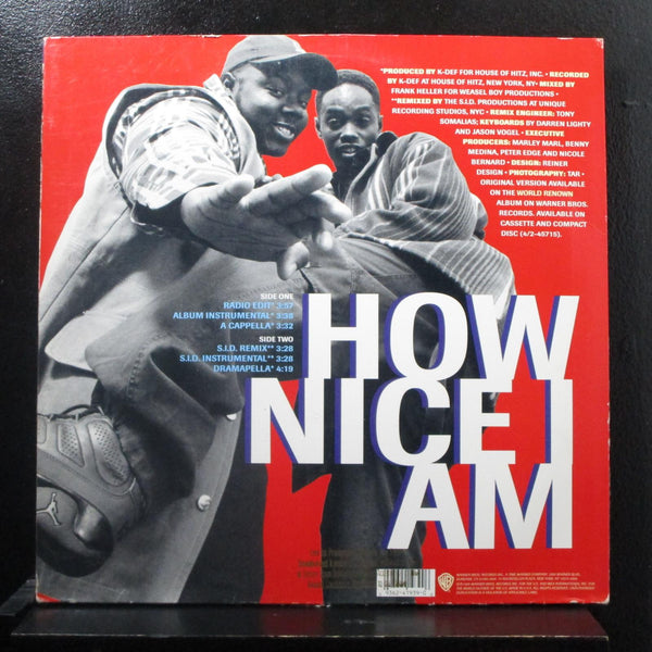 World Renown - How Nice I Am 12" Mint- 0-41939 USA 1995 Vinyl Record - Shuga Records