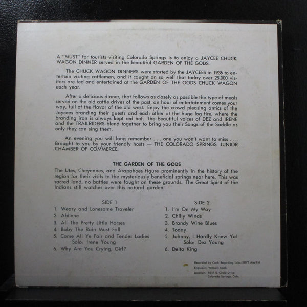 Dez And Irene - Young The Youngs LP VG 24663 Mono Private Press Vinyl Record - Shuga Records