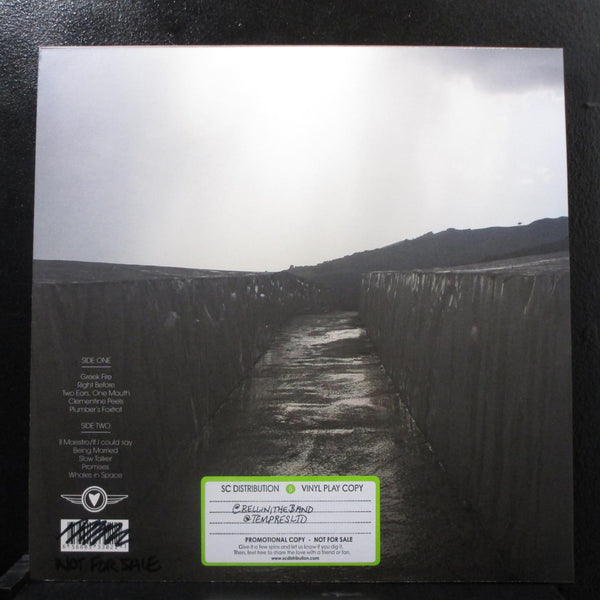 Bellini - Before The Day Has Gone LP Mint- TRR302 Promo Black Vinyl 2018 Record - Shuga Records