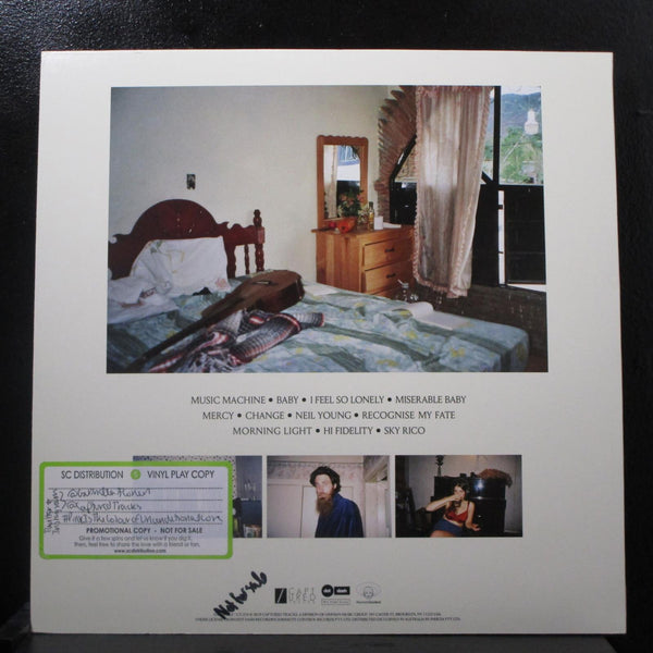 Gabriella Cohen - Pink Is The Colour Of Unconditional Love LP Mint- CT-274 Promo - Shuga Records