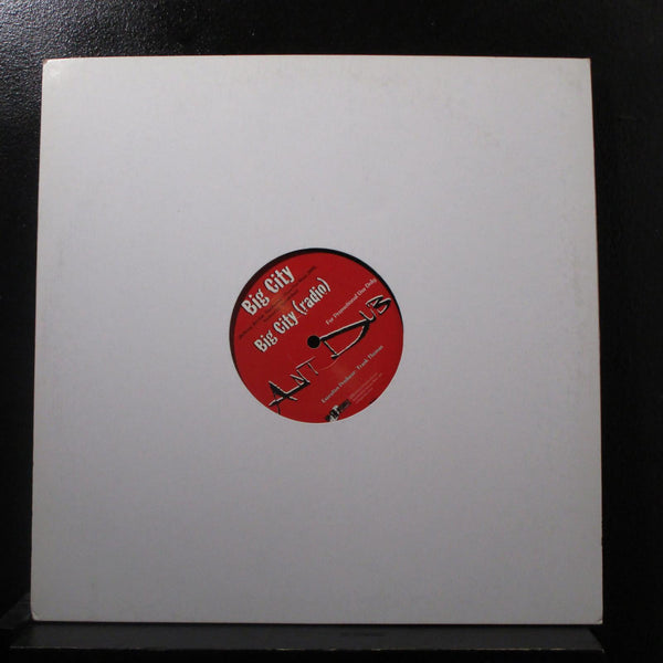 Ant Dub - 15 Months / Keep It Real / Big City 12" EP Mint- UND 0028-1 Rare Promo - Shuga Records