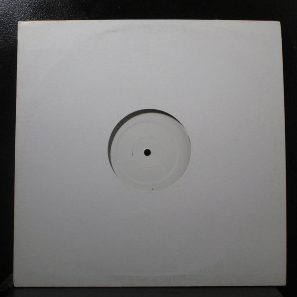 String Theory - Radiovalerian 12" VG+ WBL-015 Promo 2004 USA Vinyl Record - Shuga Records