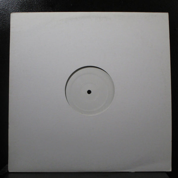 String Theory - Radiovalerian 12" VG+ WBL-015 Promo 2004 USA Vinyl Record - Shuga Records