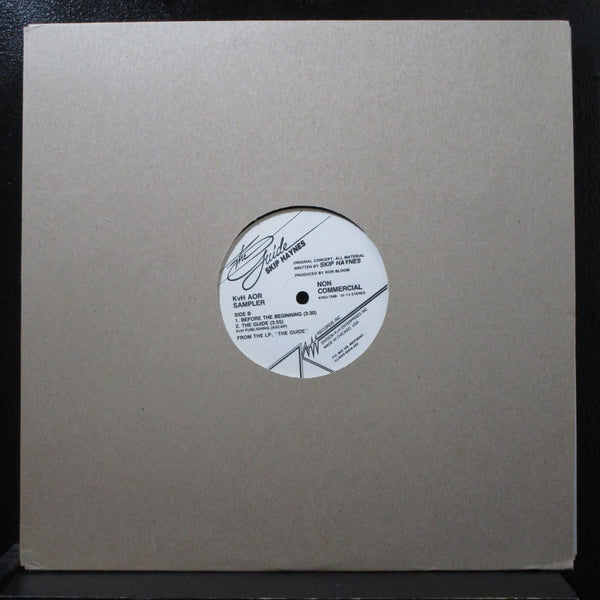 Skip Haynes - The Guide (Sampler) 12" Mint- KVDJ-726 Chicago Promo Vinyl Record - Shuga Records