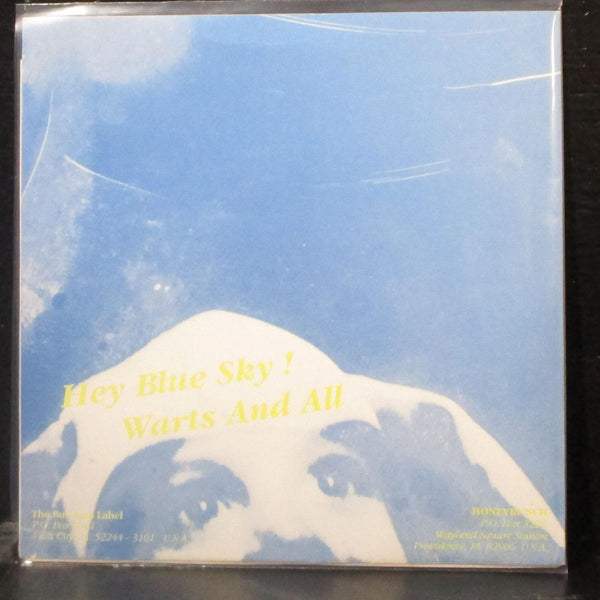 HoneyBunch - Hey Blue Sky! / Warts And All 7" Mint- Vinyl 45 Bus Stop BUS004 USA - Shuga Records