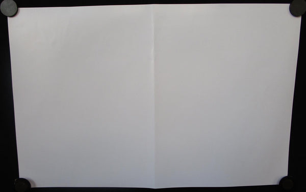 The Blankz - White Baby Poster Mint- Promo 2018 17"x11" - Shuga Records