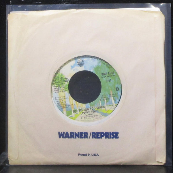 New Birth - How Will I Live / Squeezing Too Much Living 7" VG+ Vinyl 45 WBS 8536 - Shuga Records