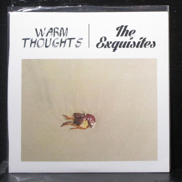 Warm Thoughts / The Exquisites Split EP 7" Mint- Green Vinyl 45 Lauren LR28 2014 - Shuga Records