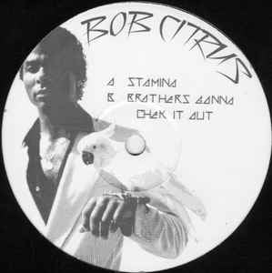 Bob Citrus ‎– Stamina / Brothers Gonna Check It Out - Mint- 12" Single Record  - 2006 UK - Breakbeat / Big Beat