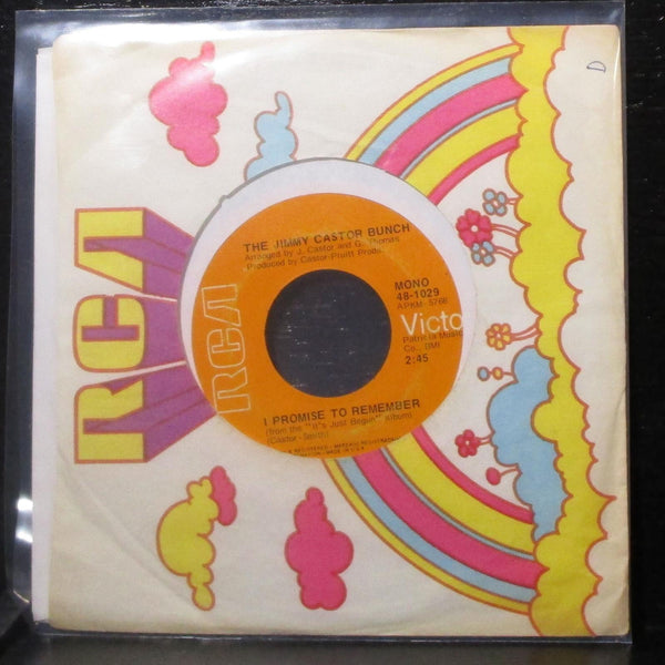 The Jimmy Castor Bunch - Troglodyte (Cave Man) 7" VG+ Vinyl 45 RCA 48-1029 - Shuga Records