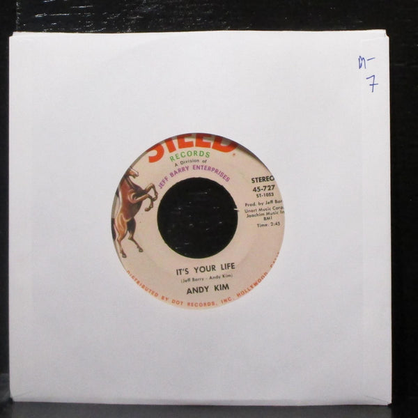 Andy Kim - It's Your Life / To Be Continued 7" Mint- Vinyl 45-727 Steed USA 1970 - Shuga Records
