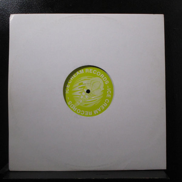 Grunge Boyz - Gremlin / Special G.R.V. 12" VG+ FLAKE 017 UK 2002 Vinyl Record - Shuga Records