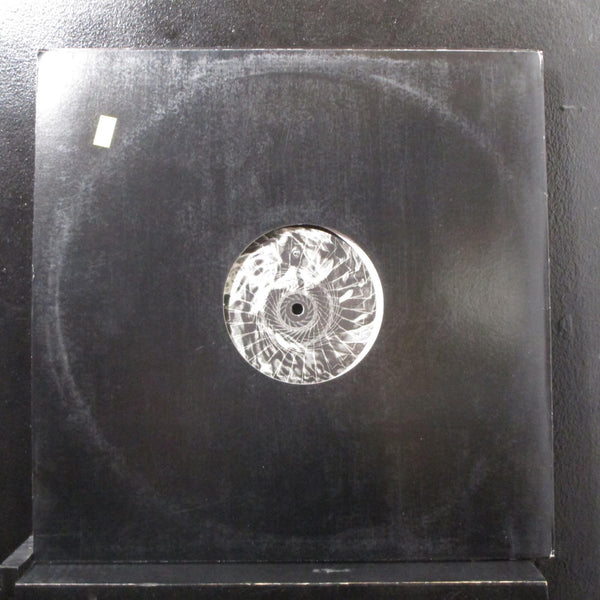 Punisher - Beyond The Mind's Ear 12" New SEISMIC007 Detroit Techno Vinyl Record - Shuga Records