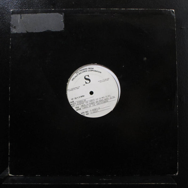 Lords Of The Underground - What I'm After 12" VG+ Y-58321 Test Press Record - Shuga Records