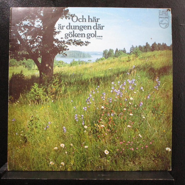 Various - Och Hr r Dungen Dr Gken Gol LP VG+ PY 842 563 Denmark 1964 Vinyl - Shuga Records
