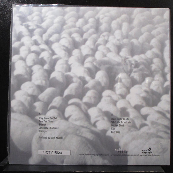 Retribution Gospel Choir LP Mint- AELP 3001 Blue Vinyl Limited Ed Numbered 1107 - Shuga Records