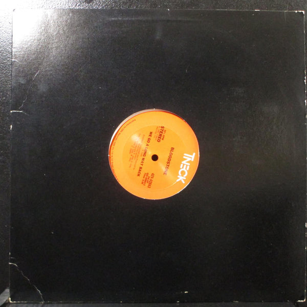 Bloodstone - We Go A Long Way Back 12" VG+ Vinyl Record 1982 T-Neck 4Z9-02863 - Shuga Records