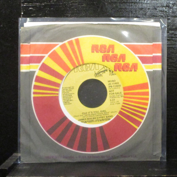 James Walsh Gypsy Band  Cuz It's You, Girl Mint- Promo 7" Vinyl 45 RCA JH-11403 - Shuga Records