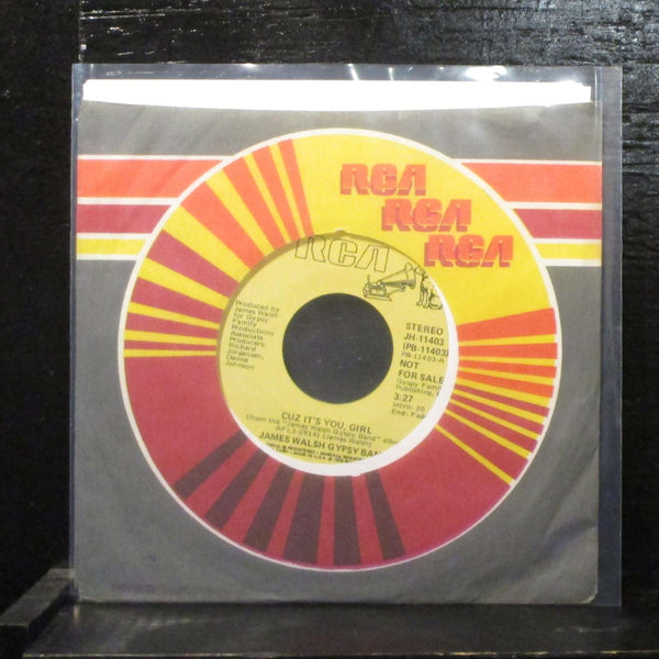 James Walsh Gypsy Band  Cuz It's You, Girl Mint- Promo 7" Vinyl 45 RCA JH-11403 - Shuga Records
