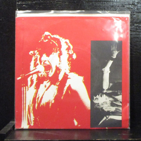 Lene LovichWhat Will I Do Without You Mint- 2X7" Vinyl 45 Stiff Records BUY 69 - Shuga Records