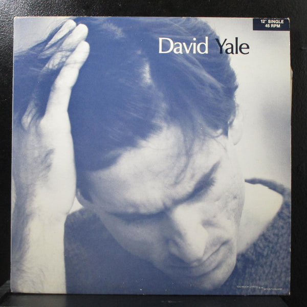 David Yale - Too Much Stress / Mountainland 12" VG+ Bam Boo America BBA 8511 - Shuga Records