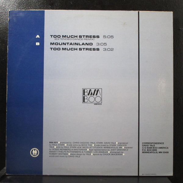 David Yale - Too Much Stress / Mountainland 12" VG+ Bam Boo America BBA 8511 - Shuga Records