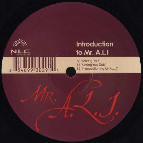 Mr. A.L.I. - Introduction To Mr. A.L.I. - VG+ 12" Single 2004 Nite Life (ONLY DISC ONE) USA - Chicago House