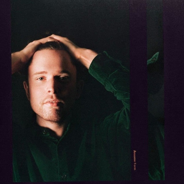 James Blake - Assume Form - New 2 LP Record 2019 Republic Polydor 180 gram Vinyl - Electronic / Soul / Leftfield - Shuga Records