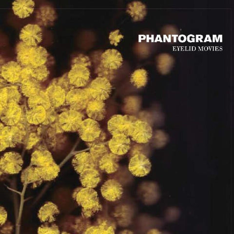 Phantogram – Eyelid Movies (2010) - New 2 LP Record 2022 Barusk Black & Yellow Swirl Vinyl - Electronic / Pop