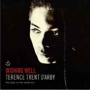 Terence Trent D'Arby ‎– Wishing Well (The Cool In The Shade Mix) - Mint- - 12" Single Record - 1987 USA Columbia Vinyl - Dance-Pop / Soul