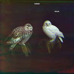 Dungen - Haxan - New Vinyl Record 2016 Mexican Summer RSD Black Friday White Vinyl Pressing, LTD to 2000 copies w/ Download - Psychedelic / Prog Rock