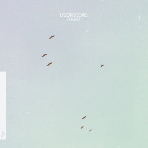 Lycoriscoris ‎– Flight - New Vinyl Lp 2018 Anjunadeep Pressing - Electronic / House / Chillwave