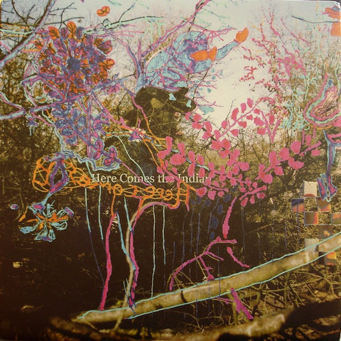 Animal Collective ‎– Here Comes The Indian - VG+ Lp Record 2003 Paw Tracks USA Original Vinyl - Rock / Indie