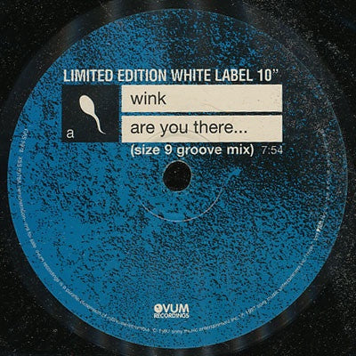 Wink ‎– Are You There... VG+ 10" Single 1997 Ovum Recordings USA - Techno