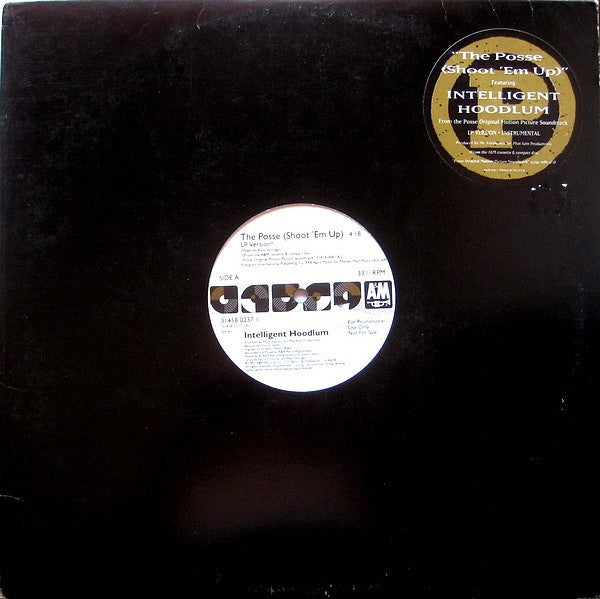Intelligent Hoodlum ‎- The Posse (Shoot 'Em Up) - VG 12" Single Promo 1993 USA - Rap / Hip Hop - Shuga Records