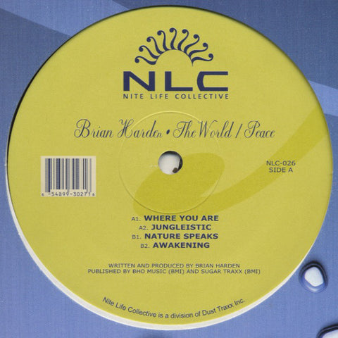 Brian Harden ‎– The World / Peace - New 12" Single Record 2001 Nite Life Collective Vinyl - Chicago Deep House