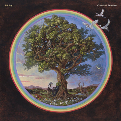 Bill Fay - Countless Branches - New LP Record 2020 Dead Oceans Vinyl - Folk / Rock