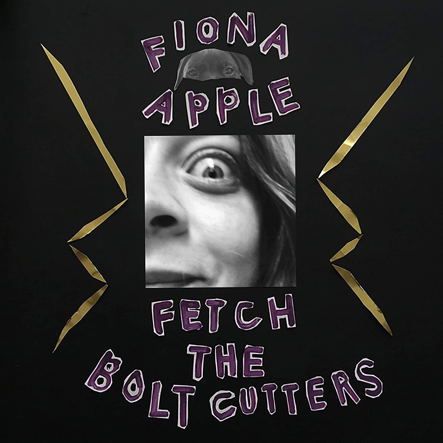 Fiona Apple ‎– Fetch The Bolt Cutters - New LP Record 2020 Epic 180 Gram Vinyl & Download - Rock / Pop