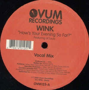 Wink Featuring Lil Louis - How's Your Evening So Far? - VG+ 12" Single 2000 Ovum Recordings USA - House